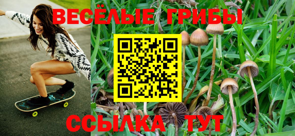 Псилоцибиновые грибы Magic Shrooms  Галлюциногенные грибы Psilocybine cubensis  Вход с VPN  Мичуринск 