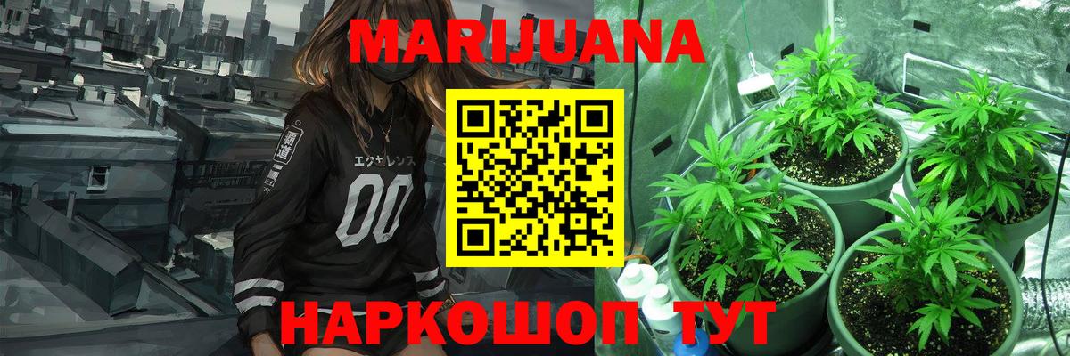 Марихуана сатива  Вход с VPN  МАРИХУАНА тримм  Бошки марихуана Bruce Banner  Канабис гибрид  Мичуринск 